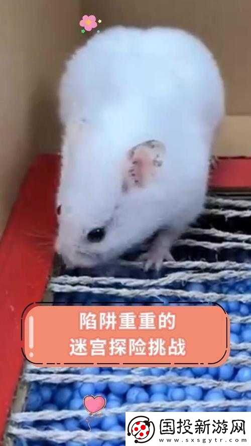 鱷魚小頑皮：巧用通風(fēng)攻略-戰(zhàn)勝重重挑戰(zhàn)