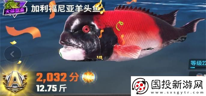 歡樂釣魚大師魚類有哪些