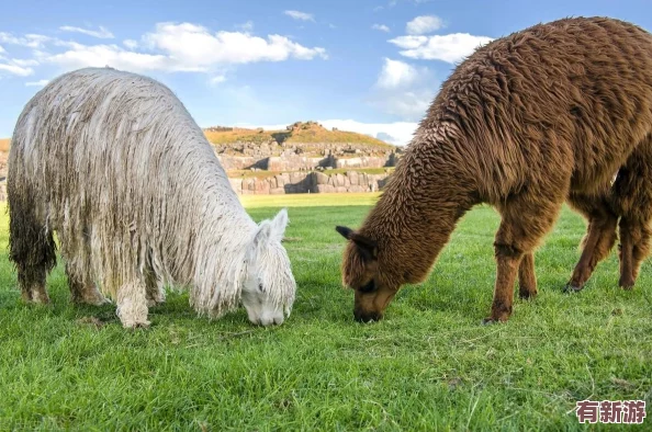 探索文明6中的黃金國奇觀：馬丘比丘的獨特魅力與戰(zhàn)略價值