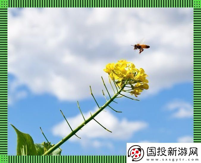 蜜蜂云：狂蜂飛舞的奇幻旅程