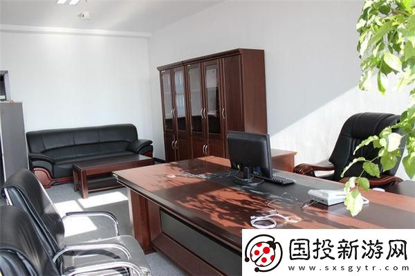 SP總監(jiān)-匠心獨運-笑談科技江湖的另類傳奇！