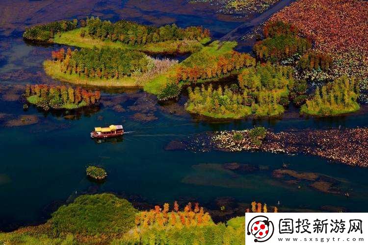 中國(guó)高清-windows-視頻軟件：暢享視覺(jué)盛宴