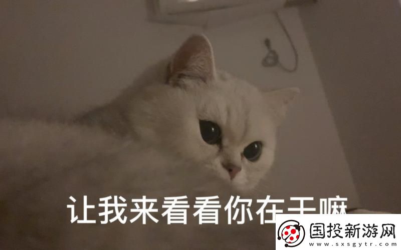 密碼密林探幽：笑闖極境-誰與爭瘋