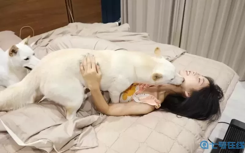 暴躁CSGO妹子免費帶你體驗槍戰(zhàn)中的激情與樂趣