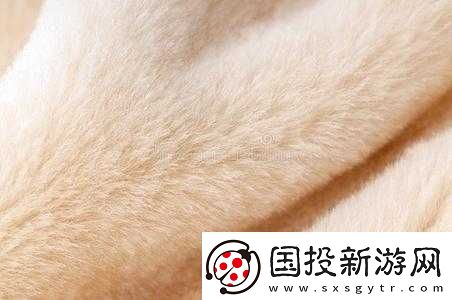 AAAA-級(jí)的毛皮最簡(jiǎn)單三個(gè)顏色：獨(dú)特魅力呈現(xiàn)