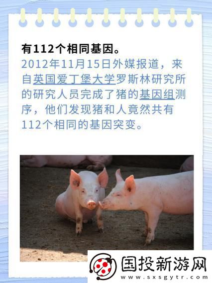 基因狂歡：豬之韻-人之謎