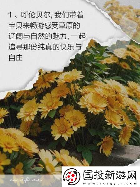 一起草國：1.-草原之夢：國土擴展的新篇章