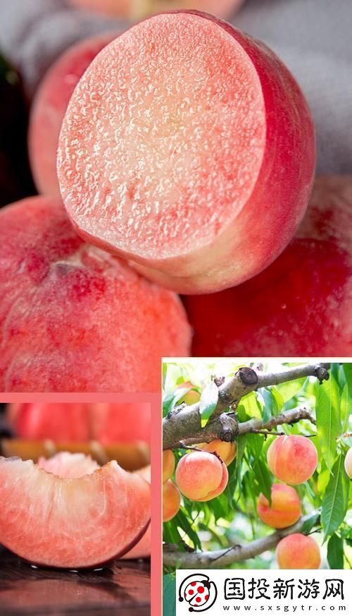 桃醉意國界的新晉紅！