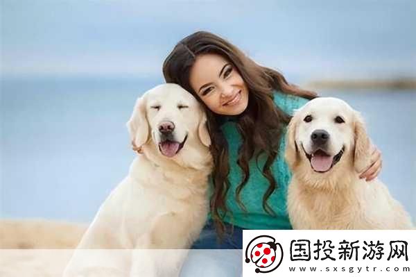 狗狗配人怎么配：1.狗狗與主人：完美搭配的秘密揭示