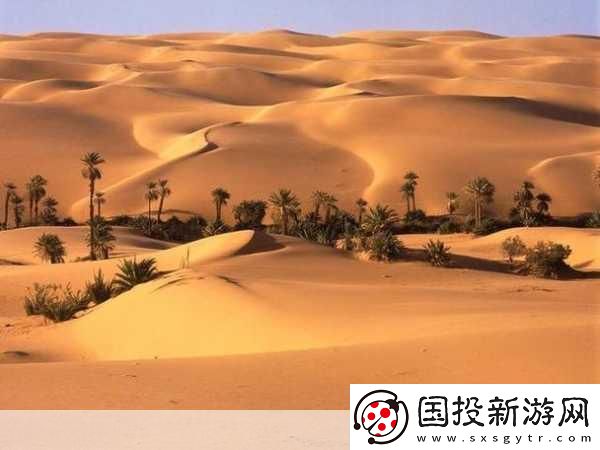 歐美無人區(qū)碼卡二卡3卡2022：當(dāng)然可以