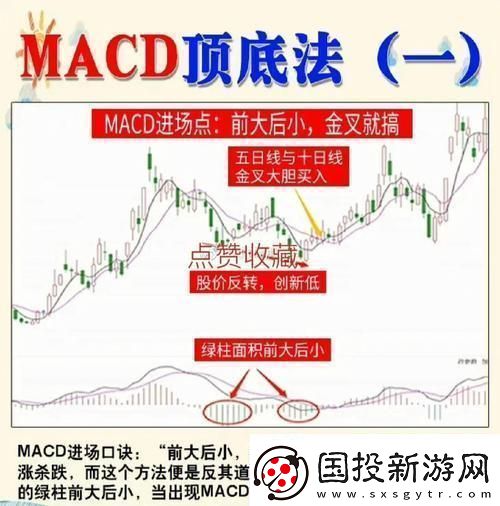 “MACD周期共震狂想曲：崛起的新星界的奇葩”