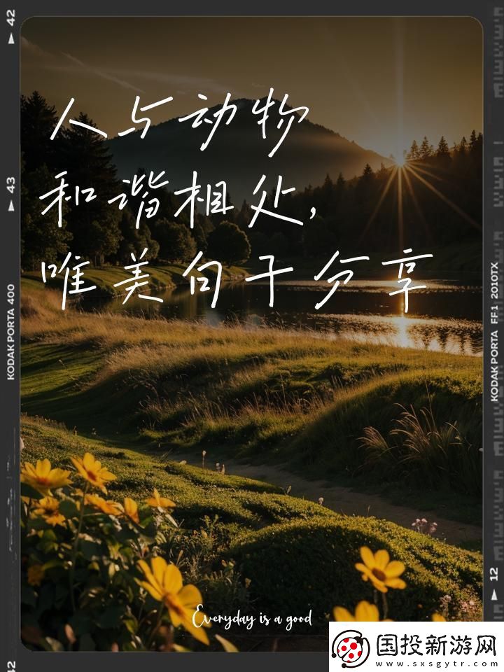 喵星人汪星人-和諧共舞互聯(lián)網(wǎng)