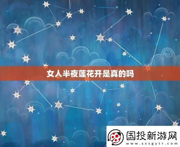 夜半蓮花-創(chuàng)新綻放