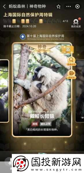 夢幻花園全國玩家盛會(huì)深圳啟幕-共筑夢想家園