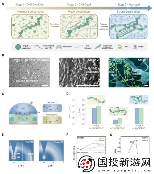 水凝膠基半導(dǎo)體材料在生物集成電路領(lǐng)域的潛在應(yīng)用前景