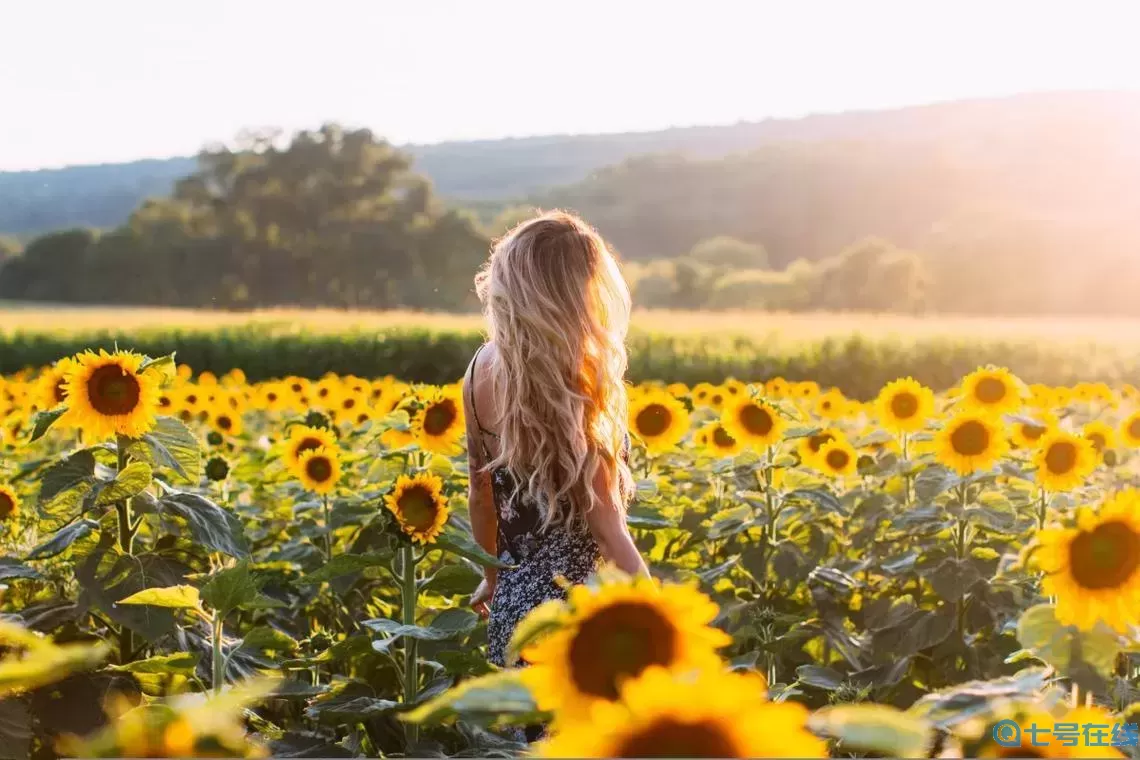 探索精品伊甸麻園在線入口的無限魅力
