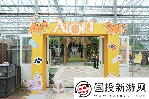 永恒之塔攜手玩家登陸“上海貓島”參與公益項目關(guān)愛社區(qū)流浪貓