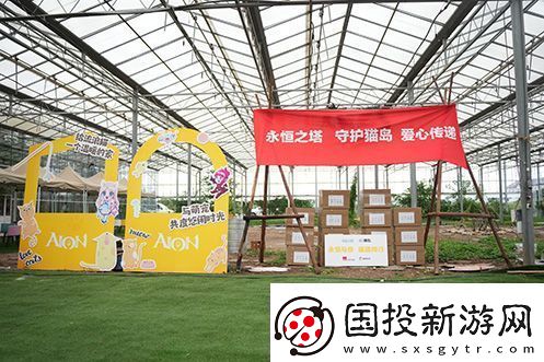 永恒之塔攜手玩家登陸“上海貓島”參與公益項目關(guān)愛社區(qū)流浪貓