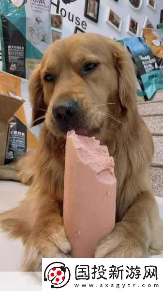 小洞餓了想吃大火腿腸：1.-小洞的饑餓冒險：尋找美味大火腿腸