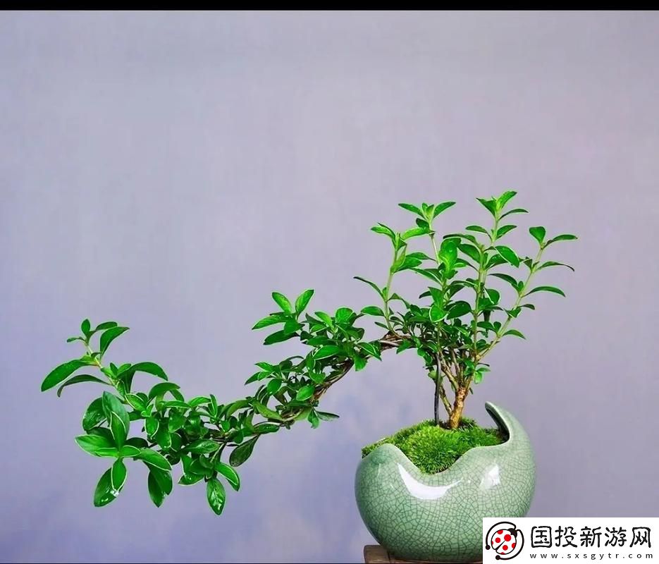 絲瓜+草莓+黃瓜-友：清爽夏日的絕妙組合