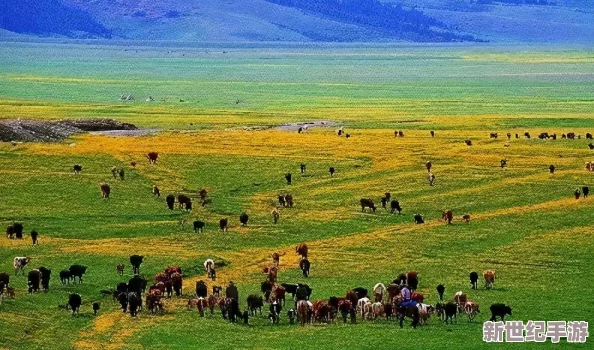 ZoomkooL牧場9k嬌?。鹤屆恳淮缤恋囟汲錆M生機和活力的美麗樂園