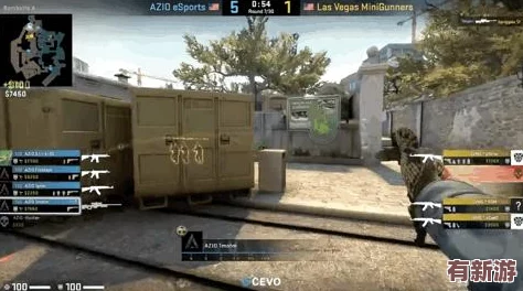 日本csgo大姐姐awp