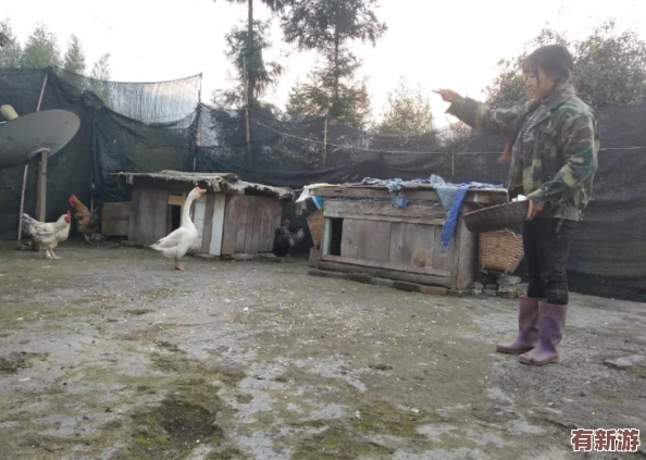 中國四川農(nóng)村婦女BBW：用戶評價(jià)稱其真實(shí)展現(xiàn)了鄉(xiāng)村生活的艱辛與女性的堅(jiān)韌-感人至深