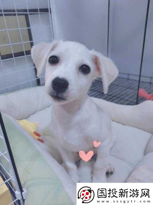 洗澡：BBWBBWBBWBBW-毛引發(fā)的熱議