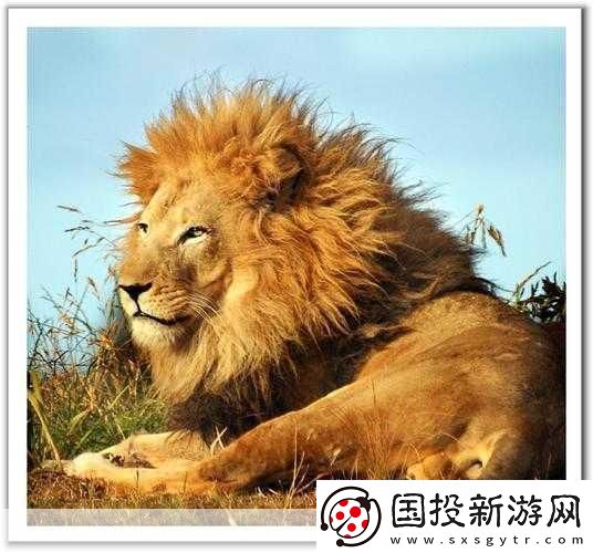 美國Zoom動物園：1.-探索迷人的動物世界：Zoom動物園的奇妙之旅