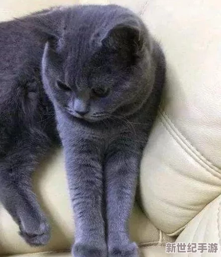 已滿18歲帶好衛(wèi)生紙嗎直接轉(zhuǎn)入