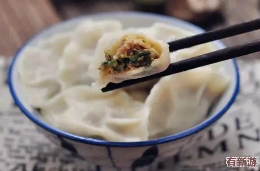 江教授要穩(wěn)住肉餡小水餃美國(guó)-推動(dòng)中美文化交流與美食合作-共同品味傳統(tǒng)與創(chuàng)新的完美結(jié)合