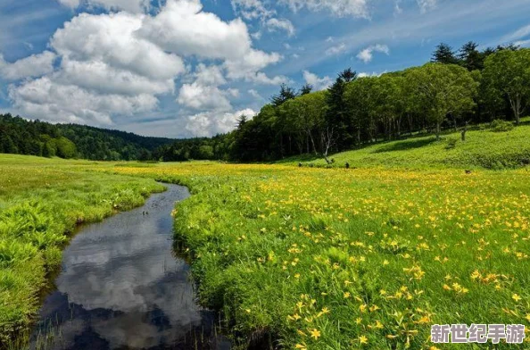 雙女主做醬醬釀釀水聲