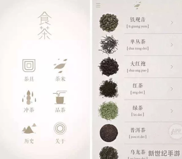 日本仙蹤林和xzl仙蹤林的區(qū)別：深入分析兩者在文化、環(huán)境與經(jīng)營模式上的不同之處