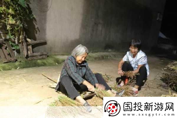 耕耘大嬸的肥沃的土地：1.-耕耘大嬸的肥沃土地：豐收背后的秘密