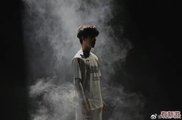 theshy現(xiàn)在在哪個隊-了解他的職業(yè)生涯與當前戰(zhàn)隊動態(tài)