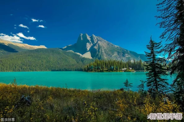 仙境傳說RO：守護(hù)永恒的愛手游珍稀道具揭秘——獨(dú)家解鎖黃色駕駛員頭帶的隱藏獲取策略