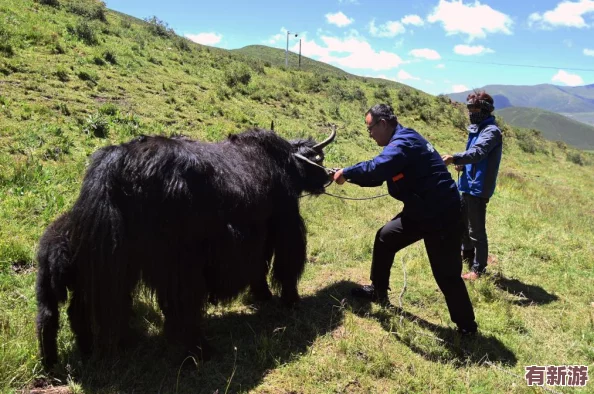 懷孕牧場(chǎng)1.1.0：體驗(yàn)溫馨養(yǎng)殖生活-享受快樂(lè)懷孕的樂(lè)趣與挑戰(zhàn)