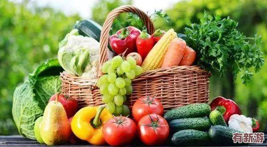 911免費(fèi)吃瓜活動火熱進(jìn)行中-參與者可享受多種美味水果-快來體驗這個夏季的清涼盛宴！