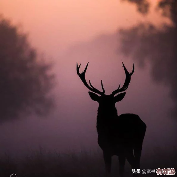 七日輪回中的智慧構(gòu)建