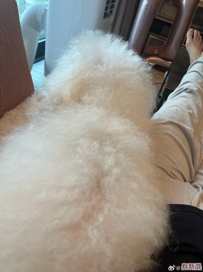 豐滿多毛的大隂戶毛茸茸-用戶稱贊其質(zhì)感細(xì)膩-帶來(lái)前所未有的舒適體驗(yàn)-令人難以忘懷