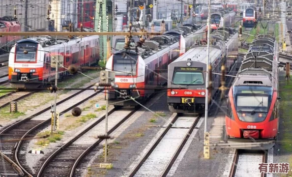 性XXXX德國老婦胖老太肥肥