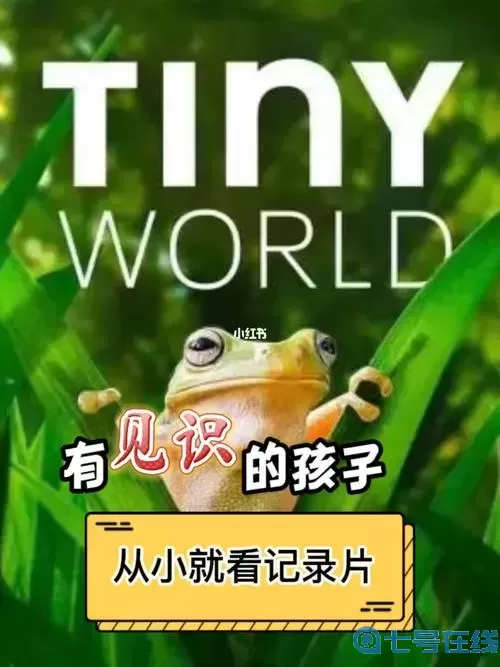 小小世界為什么下架了