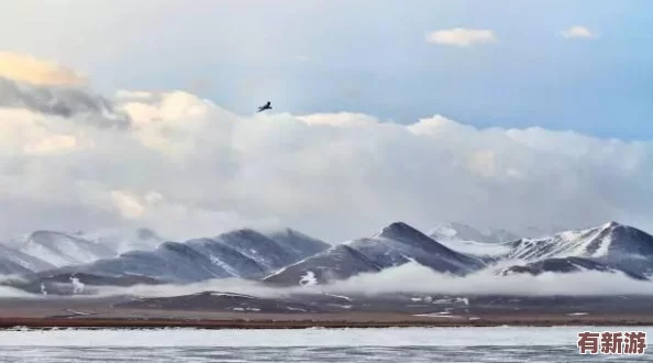 勇者大作戰(zhàn)6月12日震撼啟航-上午10點新區(qū)盛宴攜多重活動火爆來襲！