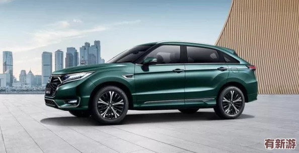 雙男黃車多細(xì)寫+腐肉