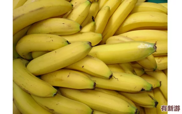 伊香蕉：一種新興的熱帶水果-營養(yǎng)豐富且口感獨(dú)特-正逐漸受到消費(fèi)者的青睞與市場關(guān)注
