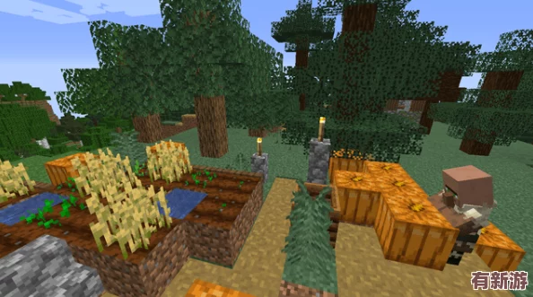 暴躁老外玩minecraft中國(guó)