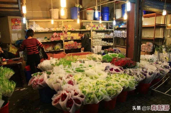 免費拔蘿卜直播