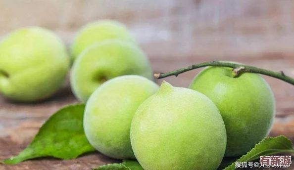 青梅不經(jīng)C1V2-：探討青梅的獨(dú)特風(fēng)味與其在現(xiàn)代飲食中的應(yīng)用價(jià)值