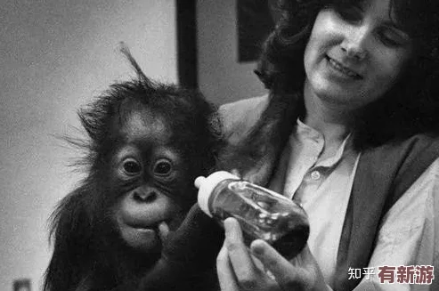 嘼皇bestialityvideo：探討動(dòng)物與人類之間的倫理界限及其對(duì)社會(huì)道德觀念的影響