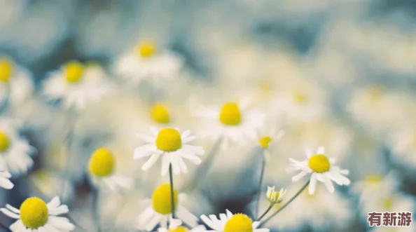 桐桐銅銅水好多